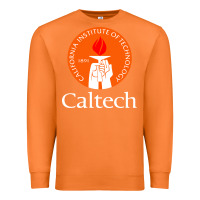 Carrot caltech california institute Premium Sweatshirt - artisFamous