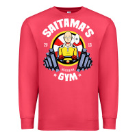 Cardinal anime gym Premium Sweatshirt - artisFamous