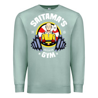 Seafoam anime gym Premium Sweatshirt - artisFamous