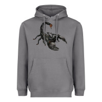 Storm scorpion Heavyweight Hoodie - JahusDesignShop