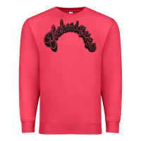 Cardinal techiniques Premium Sweatshirt - artisFamous