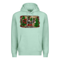 Seafoam donkey christmas Premium Hoodie - Jasminsmagicworld