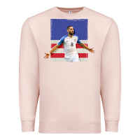 Pale Pink Usmnt Premium Sweatshirt - artisFamous