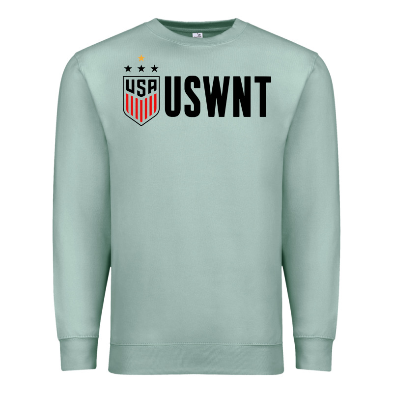 Uswnt Premium Sweatshirt by artisFamous | Teevron