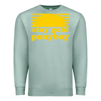 Seafoam stay gold ponyboy the outsiders movie book Premium Sweatshirt - artisFamous