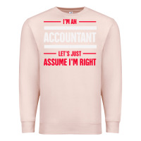 Pale Pink funny accounting design   gift for accountants Premium Sweatshirt - artisFamous