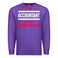 Purple funny accounting design   gift for accountants Premium Sweatshirt - artisFamous