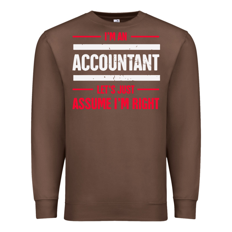 Funny Accounting Design   Gift For Accountants Premium Sweatshirt by artisFamous | Teevron