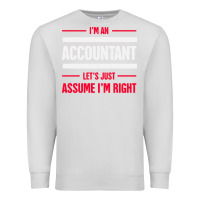 Dove Grey funny accounting design   gift for accountants Premium Sweatshirt - artisFamous