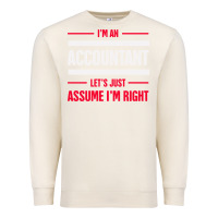 Sandshell funny accounting design   gift for accountants Premium Sweatshirt - artisFamous