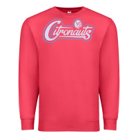 Cardinal citronauts Premium Sweatshirt - artisFamous