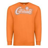 Carrot citronauts Premium Sweatshirt - artisFamous