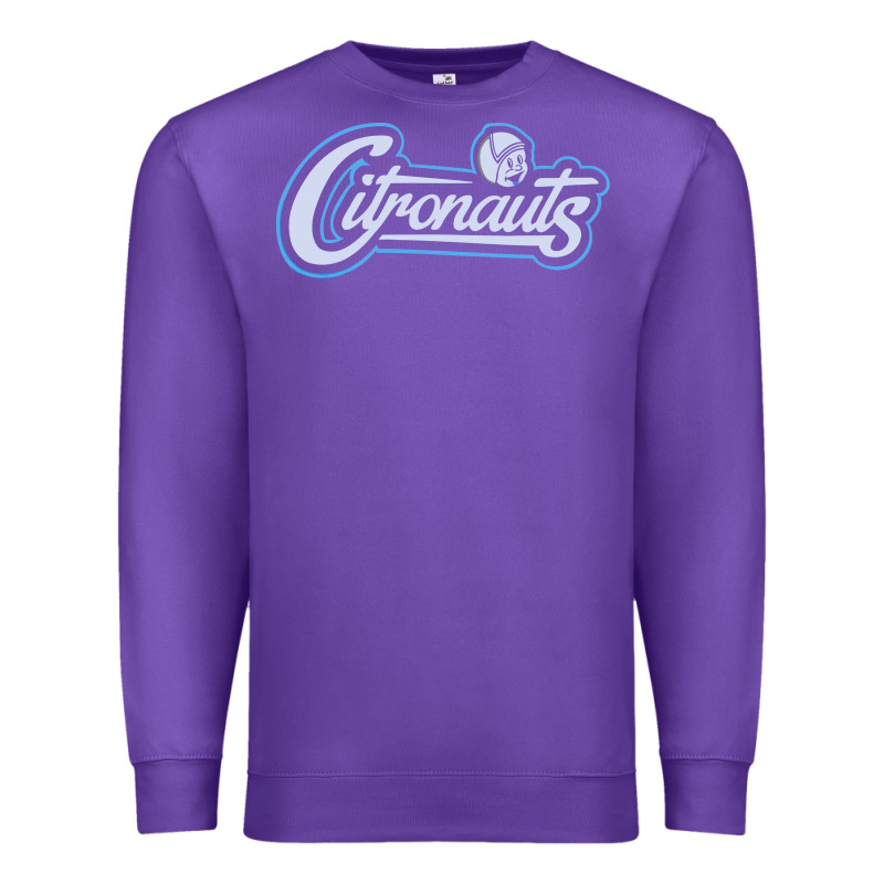 Citronauts Premium Sweatshirt by artisFamous | Teevron