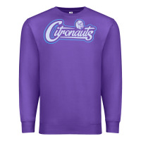 Purple citronauts Premium Sweatshirt - artisFamous