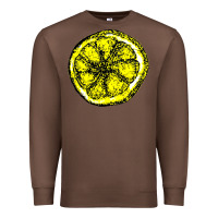 Chestnut the stone roses Premium Sweatshirt - artisFamous