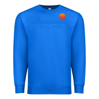 True Royal amity island 1975 Premium Sweatshirt - artisFamous