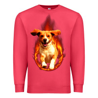 Cardinal Dog In Fire Premium Sweatshirt - artisFamous