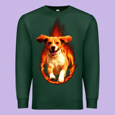 Dog In Fire Premium Sweatshirt Designed By Artisfamous