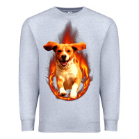 Heather Grey Dog In Fire Premium Sweatshirt - artisFamous