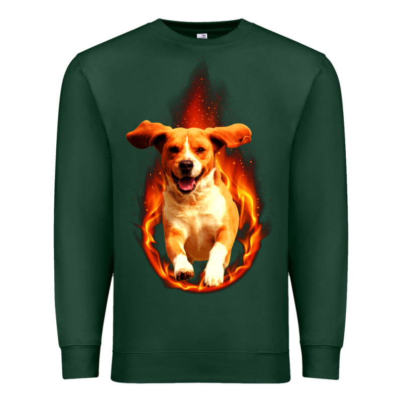 Dog In Fire Premium Sweatshirt by artisFamous | Teevron
