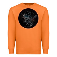 Carrot Sturgill Simpson Star Premium Sweatshirt - artisFamous