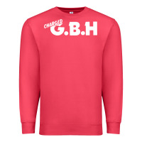 Cardinal Charged G.B.H Premium Sweatshirt - artisFamous