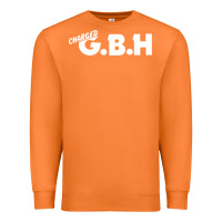 Carrot Charged G.B.H Premium Sweatshirt - artisFamous