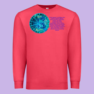 Aquarius Sign Zodiac Astrology Horoscope T-shirt Premium Sweatshirt Designed By Artisfamous
