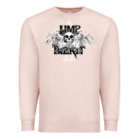 Pale Pink Limp Bizkit Essential Premium Sweatshirt - artisFamous