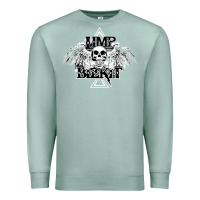 Seafoam Limp Bizkit Essential Premium Sweatshirt - artisFamous