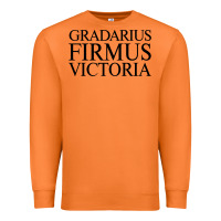 Carrot gradarius firmus victoria Premium Sweatshirt - artisFamous