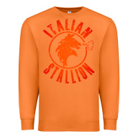 Carrot italian stallion Premium Sweatshirt - artisFamous