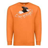 Carrot Lovejoy Are you alright Premium Sweatshirt - artisFamous