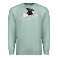 Seafoam Lovejoy Are you alright Premium Sweatshirt - artisFamous