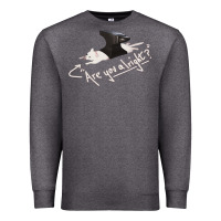 Lovejoy Are You Alright Premium Sweatshirt | Teevron