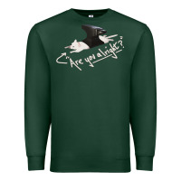 Sports Green Lovejoy Are you alright Premium Sweatshirt - artisFamous