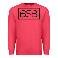 Cardinal backstreet boys black Premium Sweatshirt - artisFamous