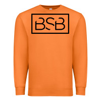 Carrot backstreet boys black Premium Sweatshirt - artisFamous