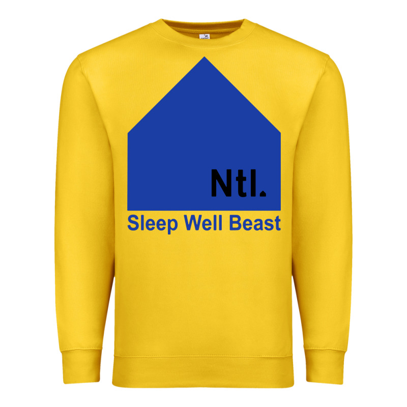 The National Party Premium Sweatshirt by artisFamous | Teevron