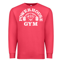 Cardinal power house gym fitness Premium Sweatshirt - artisFamous