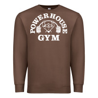 Chestnut power house gym fitness Premium Sweatshirt - artisFamous