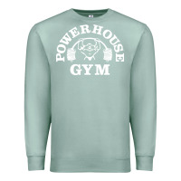 Seafoam power house gym fitness Premium Sweatshirt - artisFamous