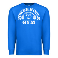 True Royal power house gym fitness Premium Sweatshirt - artisFamous
