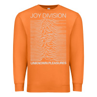 Carrot Joy Division Classic Premium Sweatshirt - artisFamous