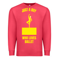 Cardinal just a boy who loves ballet Premium Sweatshirt - artisFamous