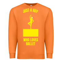 Carrot just a boy who loves ballet Premium Sweatshirt - artisFamous