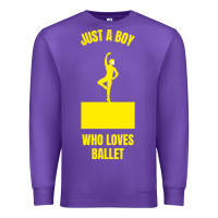 Purple just a boy who loves ballet Premium Sweatshirt - artisFamous