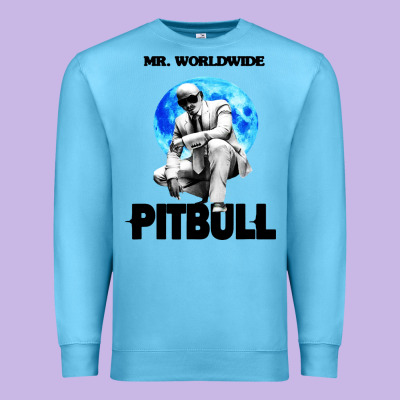 Merch Mr Worldwide Pit Bull Premium Sweatshirt Designed By Artisfamous