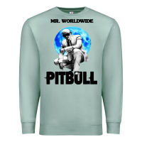 Seafoam merch mr worldwide pit bull Premium Sweatshirt - artisFamous