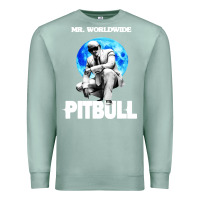 Seafoam merch mr worldwide pit bull Premium Sweatshirt - artisFamous